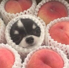 This holiday season is only giving me indigestion... what the helly man whats wrong w my stomach