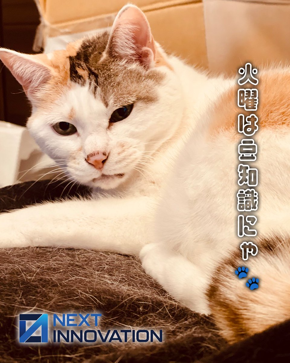 🐾猫社長ゆずマルにゃ🐱 2025年12月23日（火） #今日は何の日 にゃ