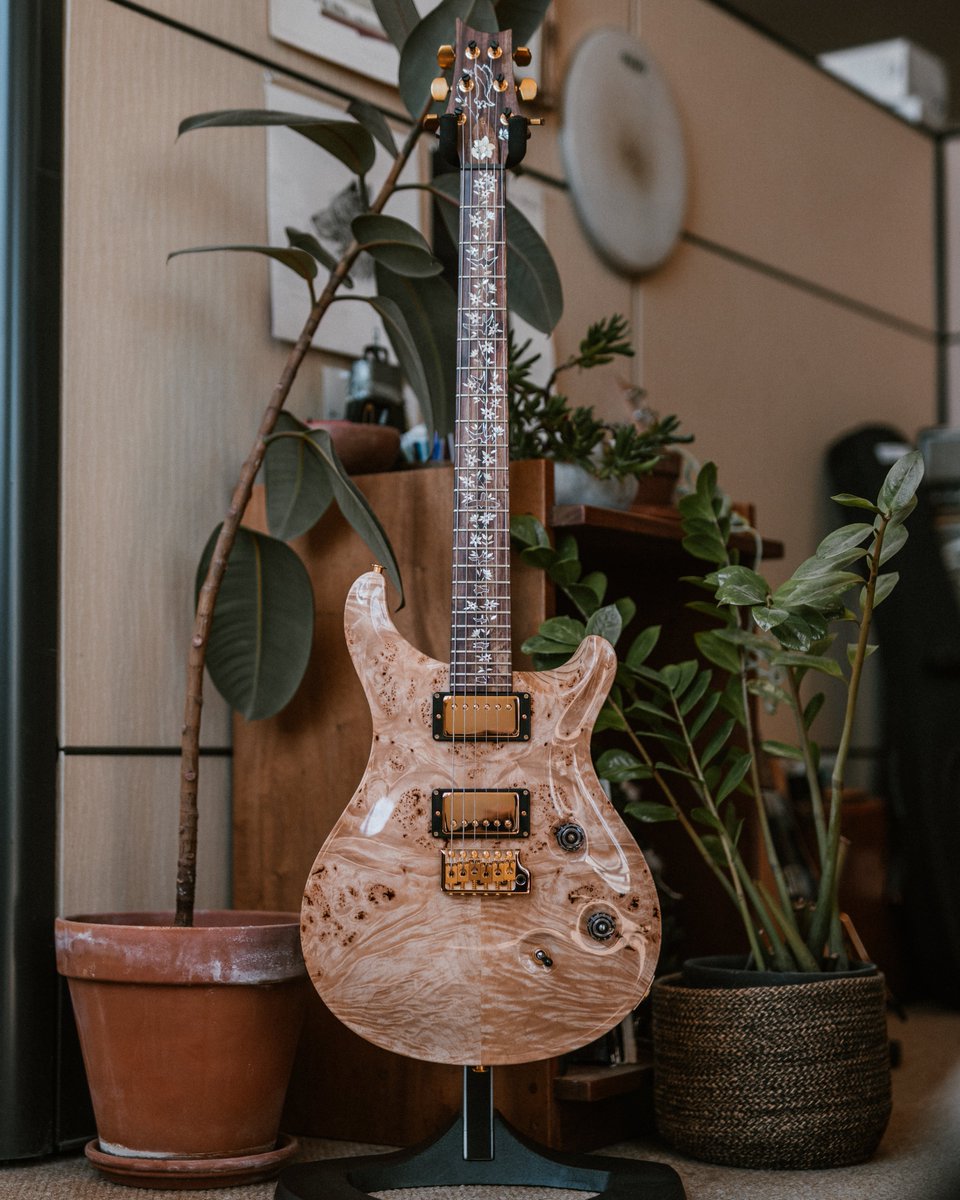 prsguitars's tweet image. Look back at our most popular #privatestockfriday posts of 2025! Did your favorite make the top of the list?