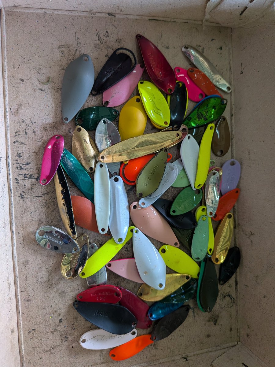 ぶたちゃん (@PigOnTheRice) / Posts / X