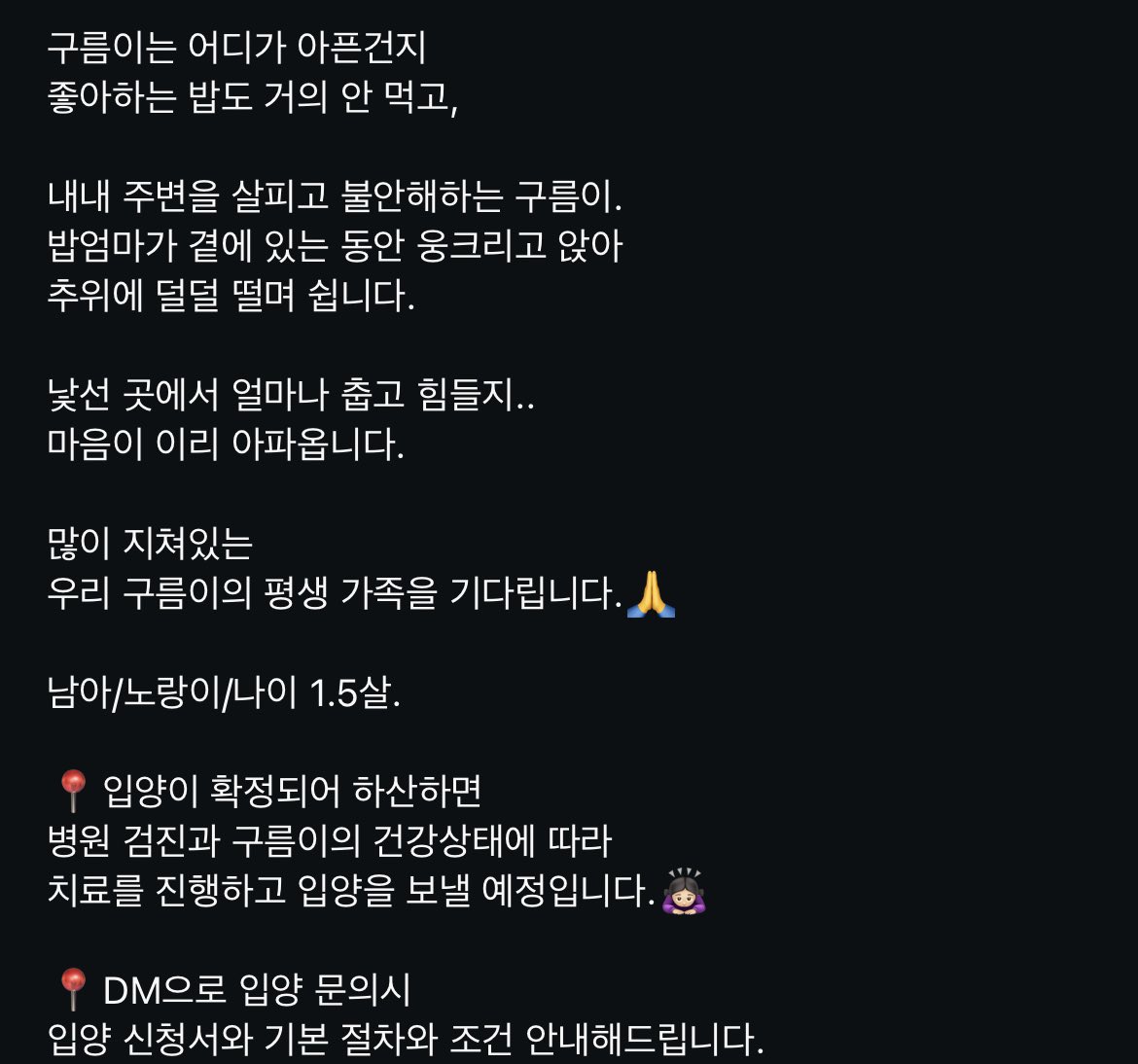 #입양홍보 관악산 구름이 입양처를 찾고 있다고 합니다 관심있는 분들은 사진 속 인스타드램 계정으로 문의해주시면 감사드리겠습니다.