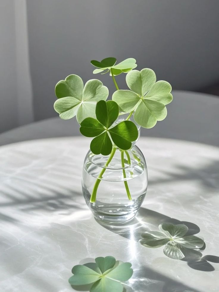 Aesthetics (@aestheticspost_) on Twitter photo 