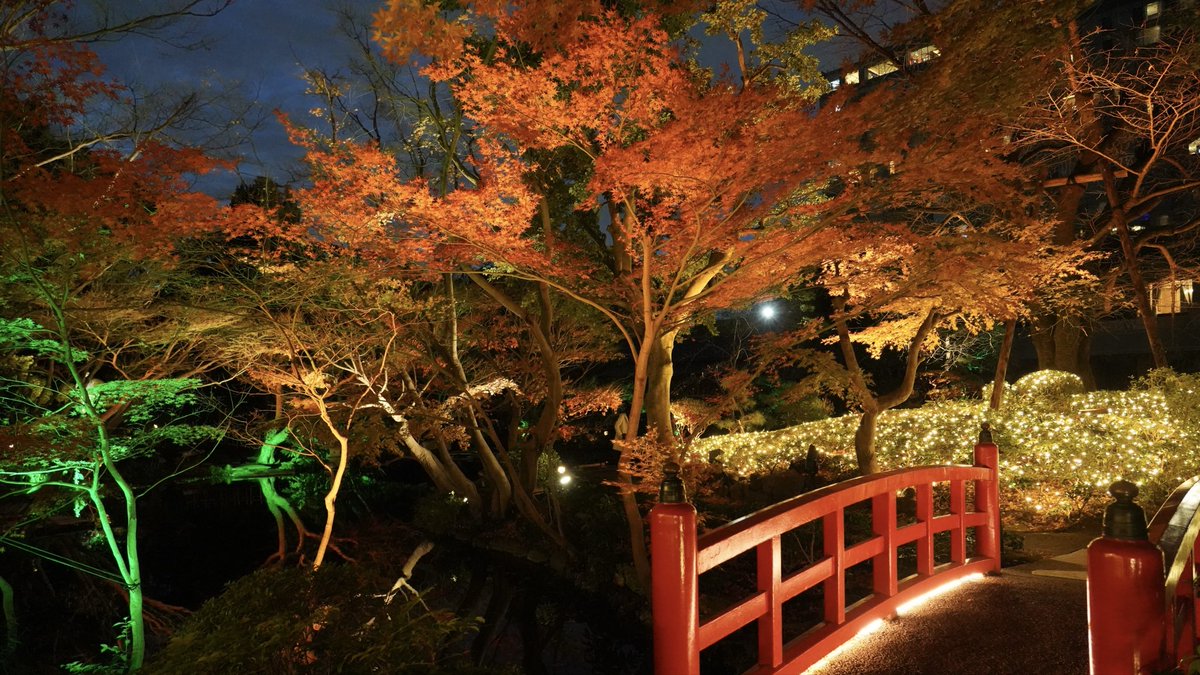 いかん！一つ仕事片付けるたびに昨日の画像やら動画を見てしまう🤤
全く集中できんやん⚠️⚠️

やむを得ん。。。仕事終わるまではニューオータニの庭園画像で我慢😇

※同じ症状でお悩みの方に庭園画像処方しておきますねw💊