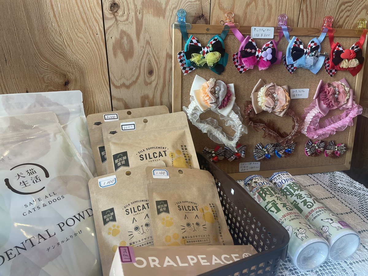 12月23日(火)☀️
IROCOFFEEオープン！

今日はHungry Donuts販売日🐻🍩
数量限定のクリスマスドーナツセットもあります🎄❣️

そして今日23日〜25日の間、ワンニャンと人のヘルスケアサロン🐶"BLISS Paws"のPOP UPもやってます🐈❤️
ペットと暮らしている皆様✨見に来てみてー🙌
#香里園　#香里園カフェ