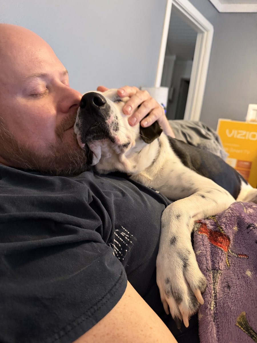 TRdontlast's tweet photo. #Draco the awesome dog is in need of a loving home. Michelle is currently fostering him. He deserves the very best family! Please contact the Bryant Animal Shelter (Bryant, Arkansas) if you’re in need of a new best friend. @PetSmartChariTs @bestfriends https://t.co/YPzWMP5jBa