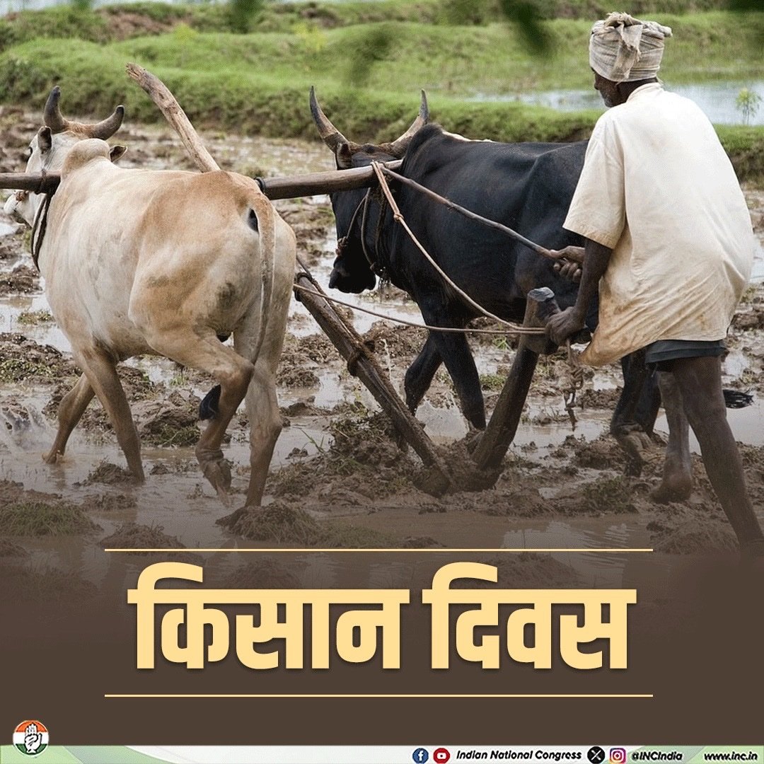 RBalvariya's tweet image. समस्त भारतवासियों को किसान दिवस की हार्दिक शुभकामनाए 💐💐
जय हिंद 
जय जवान 
जय किसान
