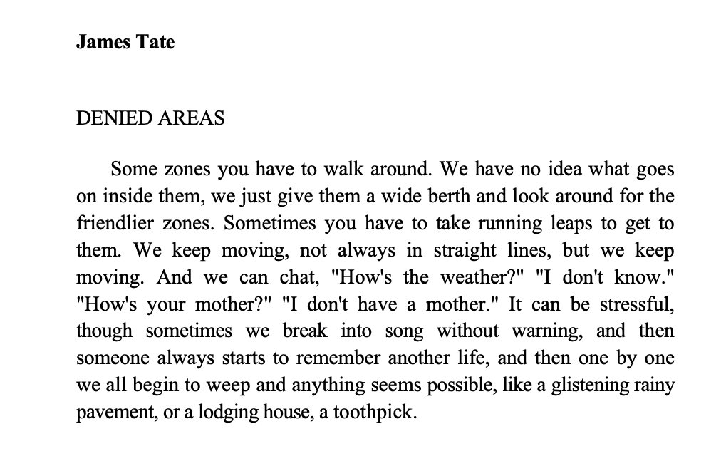 Alina Stefanescu tweet media