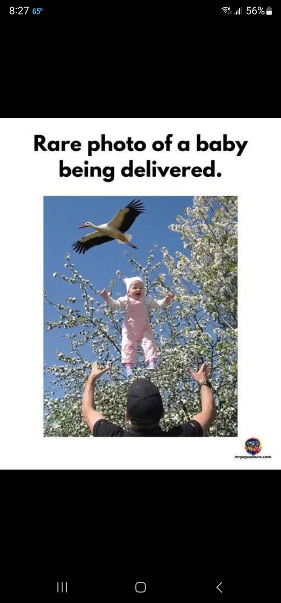 Bernardo Galaz tweet media