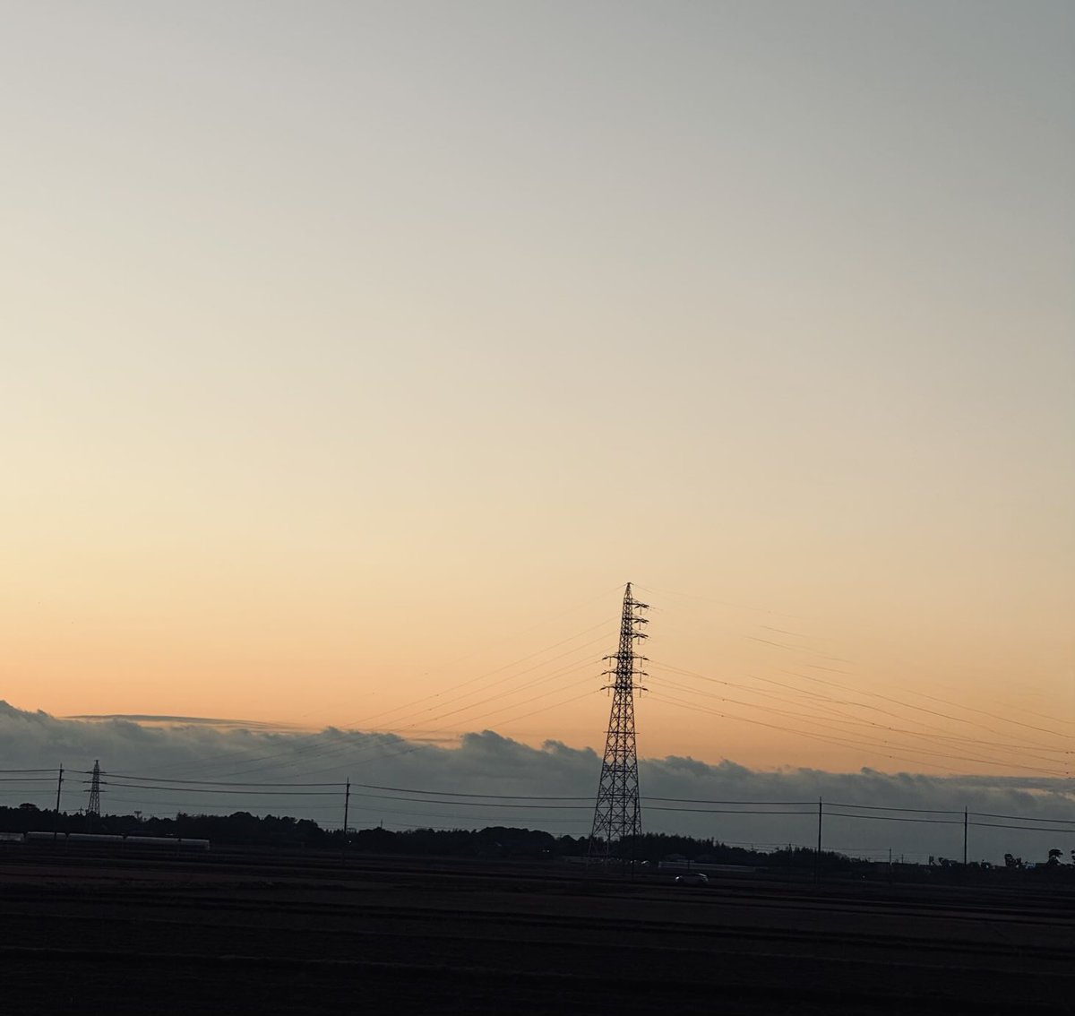 ☆人形遣いLUNEの独り言☆ tweet media