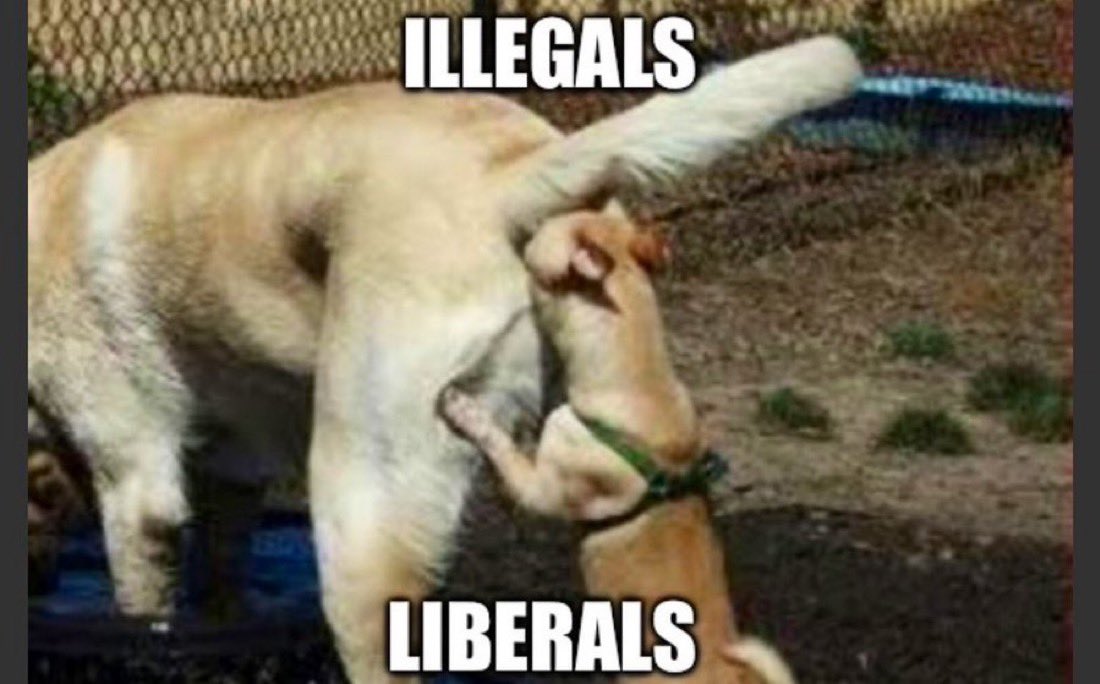 JBMAGA03's tweet image. It doesn’t matter what happens to them when they are sent back, they come here illegally. Why should we care?