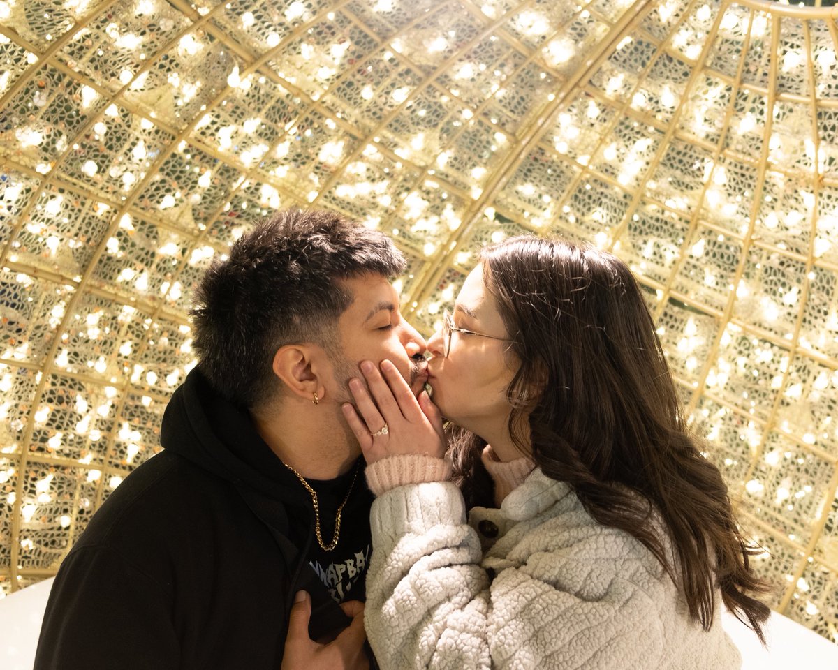 Bomb Cat tweet media