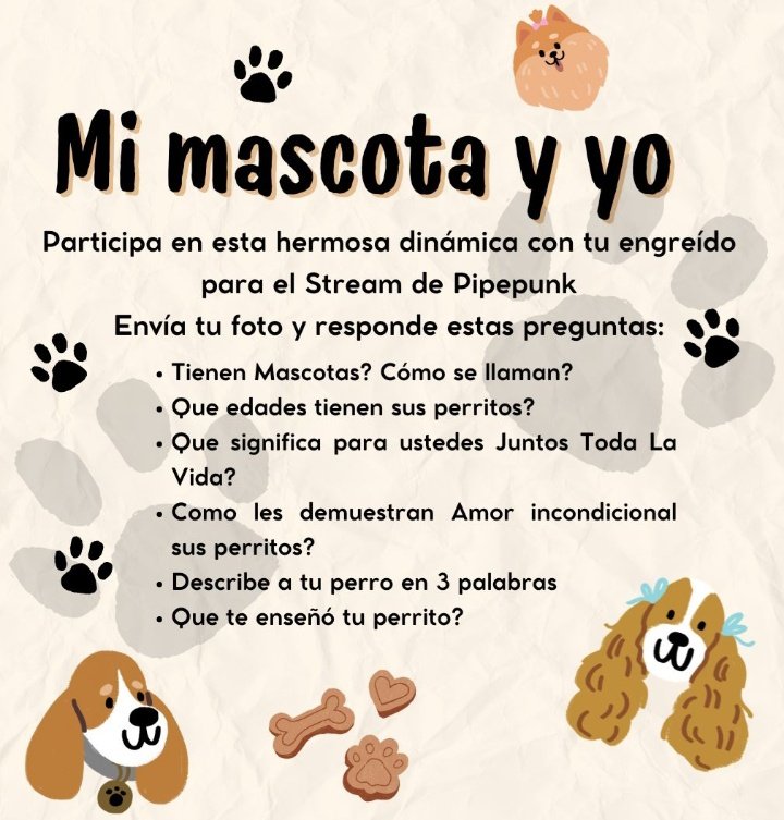 𝕻𝖎𝖕𝖊𝕻𝖚𝖓𝖐 𝕻𝖗𝖔𝖏𝖊𝖈𝖙𝖘 tweet media