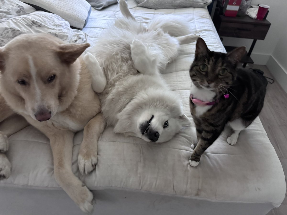 STACI GARCIA tweet media