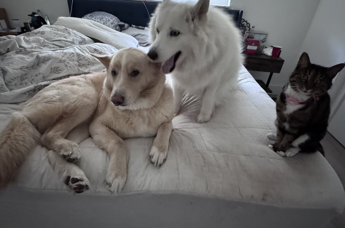 STACI GARCIA tweet media