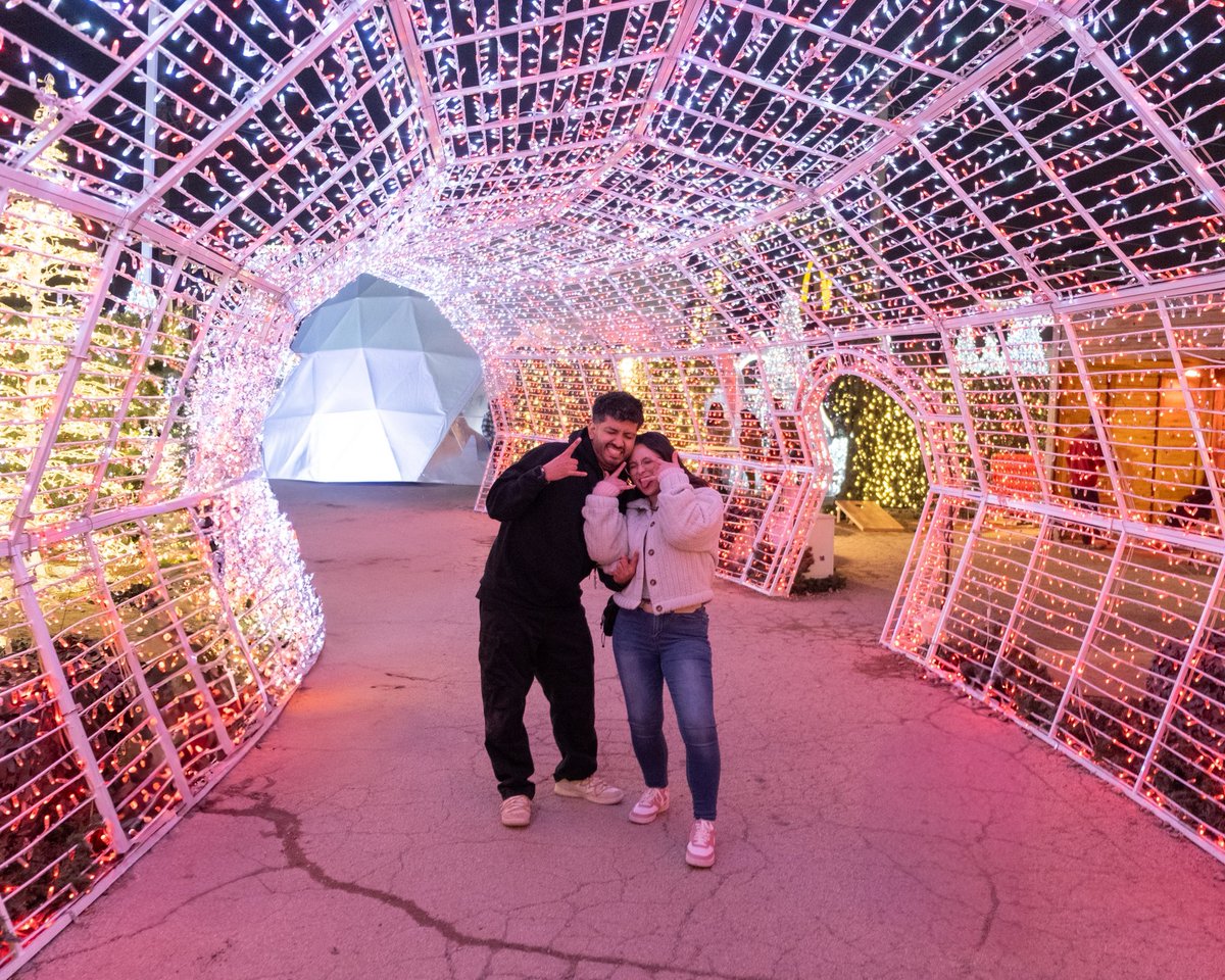 peanut🦋 tweet media