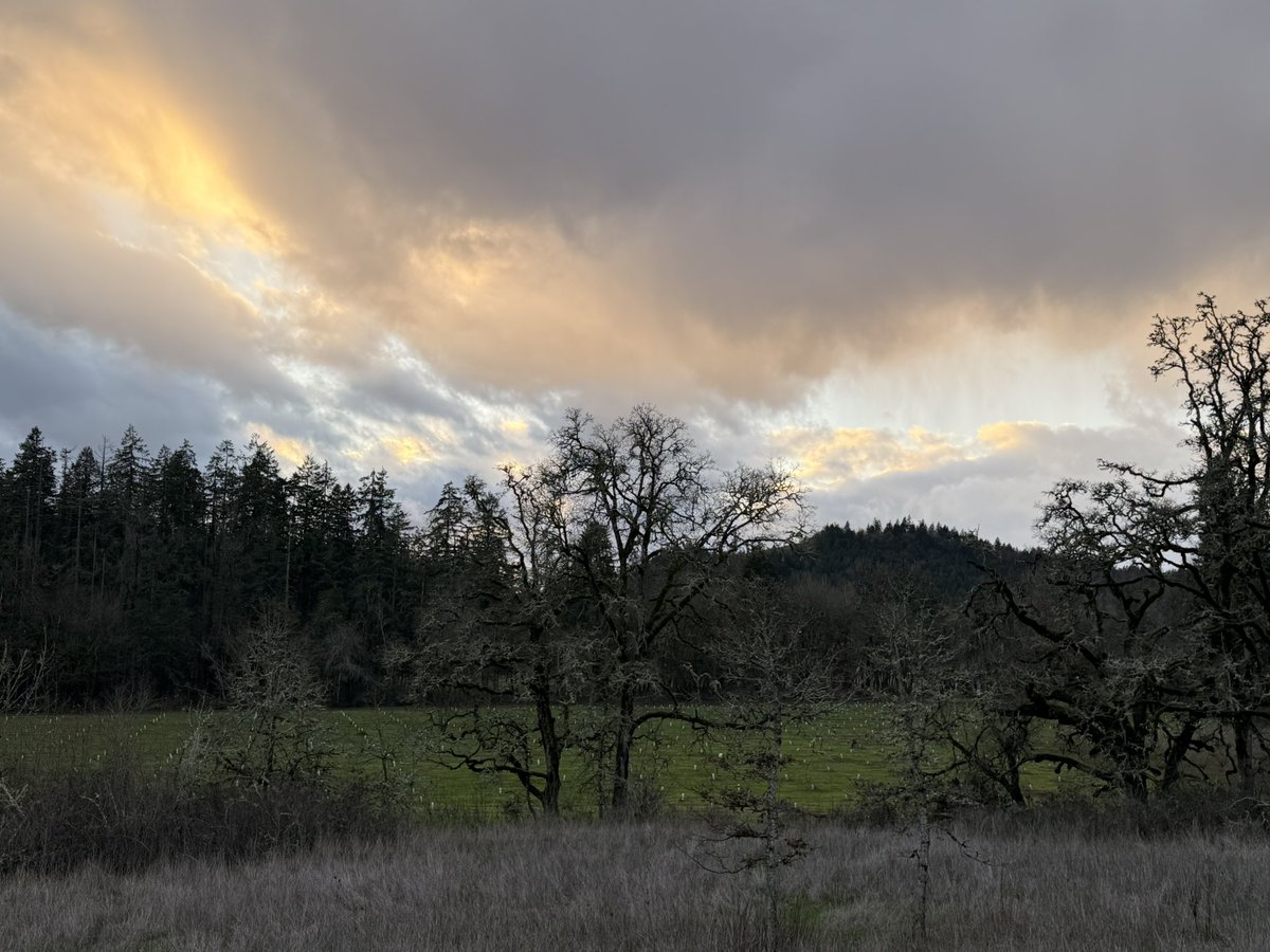 MarsHomestead's tweet image. Just co-hosted a wonderful Mental Health Check-In Space with friends today.

Shoutout to Will for leading with such care! 💙

He shared a powerful tip: 

Daily walks, get outside, and seek out blue (sky/water) or green.

Seeing these colors in nature helps our mental health and…