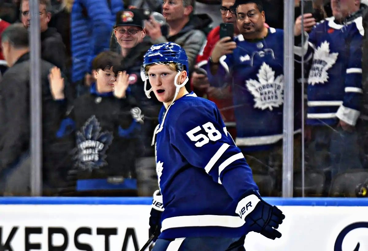 shiitekarlsson tweet media
