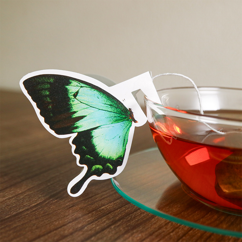 オンラインストア】 本日ご紹介するのは「BUTTERFLY TEA assort