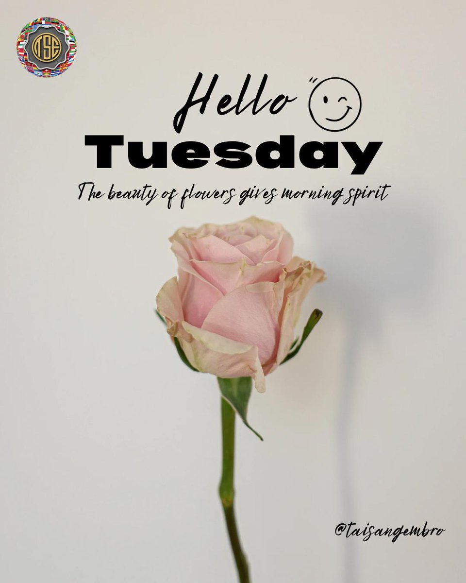 TaisangMKT's tweet photo. Hello Tuesday 🌸
The beauty of flowers brings a fresh spirit to the morning.
Start the day with positivity and calm energy.
#HelloTuesday #MorningVibes #FreshStart #PositiveDay #NatureInspires https://t.co/JcXimdU62Y