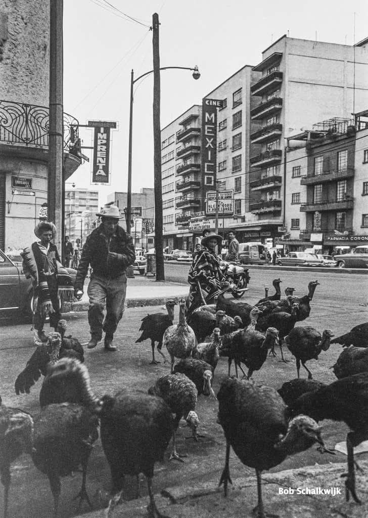 En visperas de Navidad y de nuestro México. Una familia lleva sus guajolotes por las calles de la ciudad; en avenida Cuauhtémoc, en la colonia Roma; al fondo el cine México, cuya marquesina anunciaba la película  "Cri - Cri, el Grillito Cantor", con Ignacio López Tarso, de 1963.