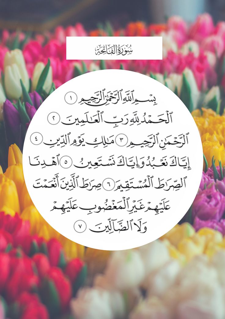 السلام علیکم ورحمتہ اللہ وبرکاتہ 
2018/12/23
آج ہمارے بابا جان کی برسی ہے 7 سال ہو گئے ان سے جدا ہوئے 
اک بار سورہ فاتحہ تین بار سورہ اخلاص پڑھ کر ان کی مغفرت کی دعا کر دے دعا گو فیملی 
<a href="/Shanzay_shaim/">شانزے🖤</a> 
Mahnoor shanzay