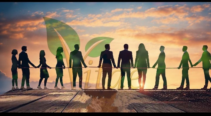 <a href="/WeAreVitae/">wearevitae.org</a> We are Vitae justice for our platform 🙏