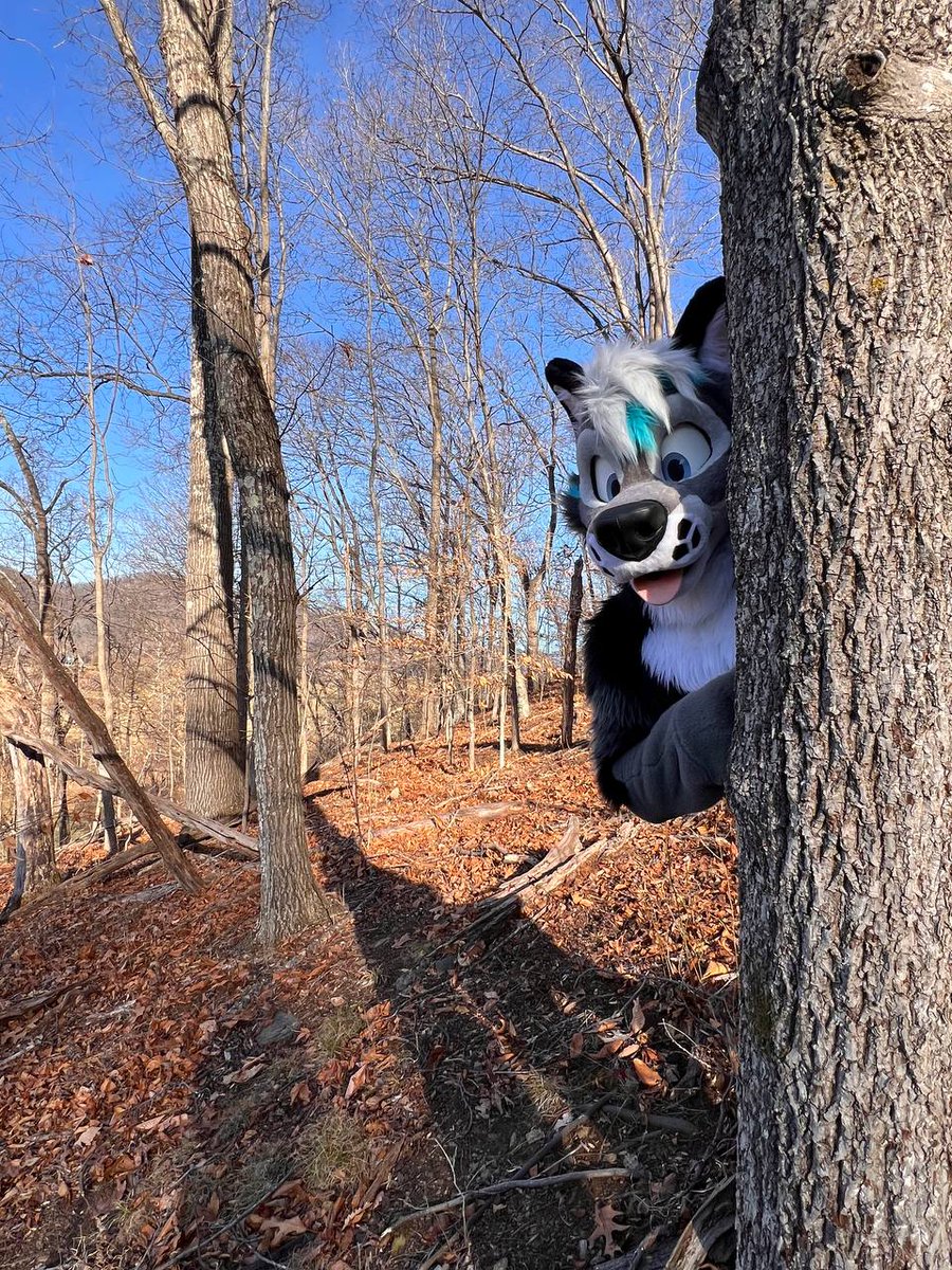 _Uro's tweet image. Little pre holiday trip out in the Shenandoah area with @starsentbeast .

Been doing a bit of hiking and dogging around x)