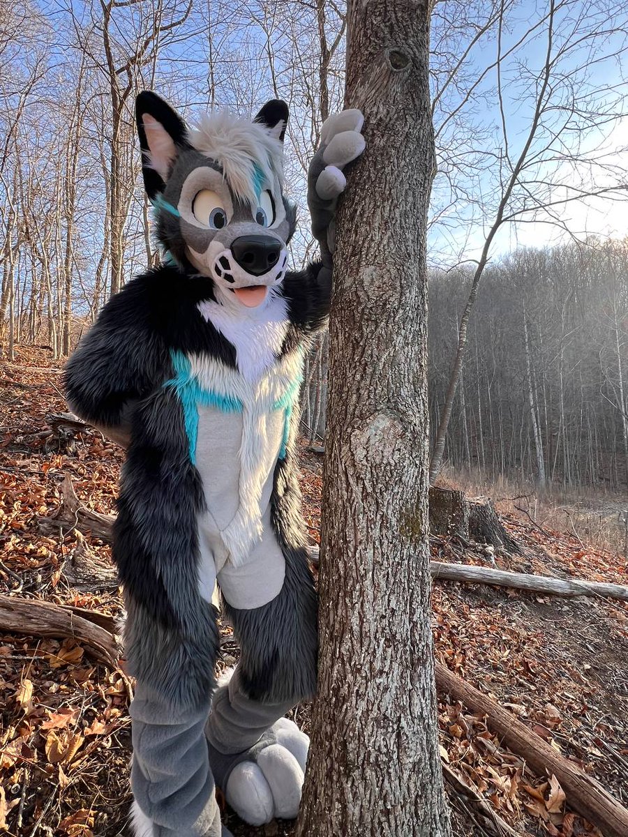 _Uro's tweet image. Little pre holiday trip out in the Shenandoah area with @starsentbeast .

Been doing a bit of hiking and dogging around x)