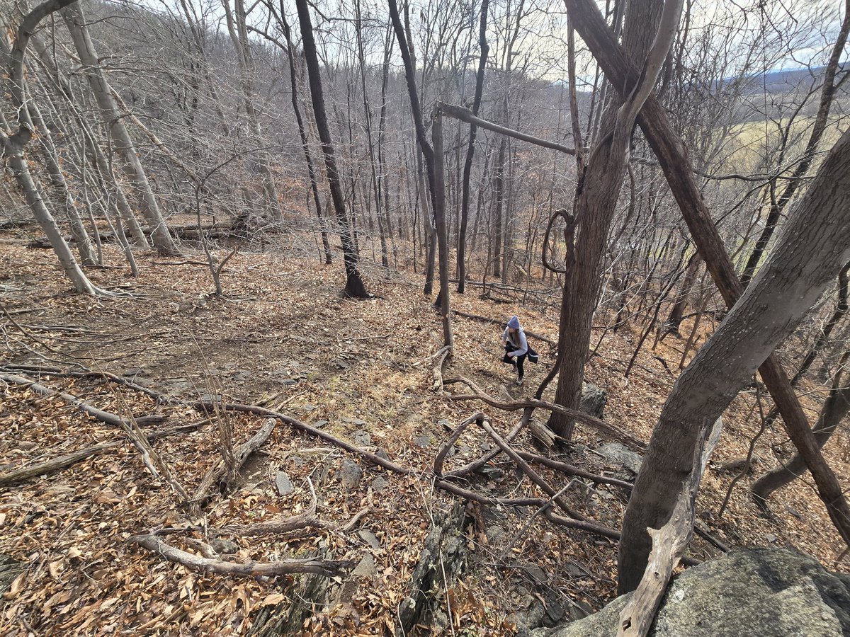 _Uro's tweet image. Little pre holiday trip out in the Shenandoah area with @starsentbeast .

Been doing a bit of hiking and dogging around x)