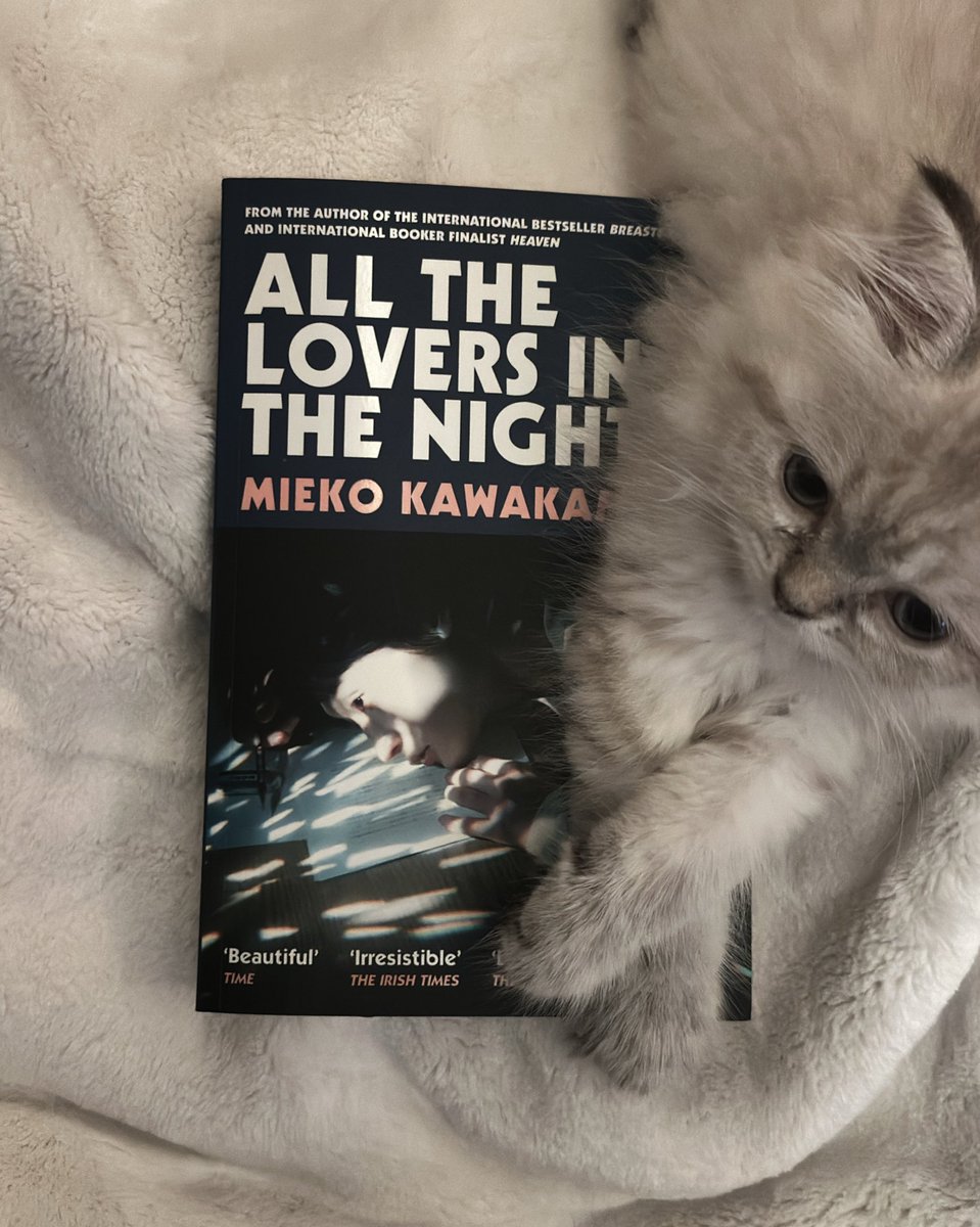lblu_'s tweet photo. So she’s my bookmark today. 🐾 https://t.co/2uGxnc6KVd