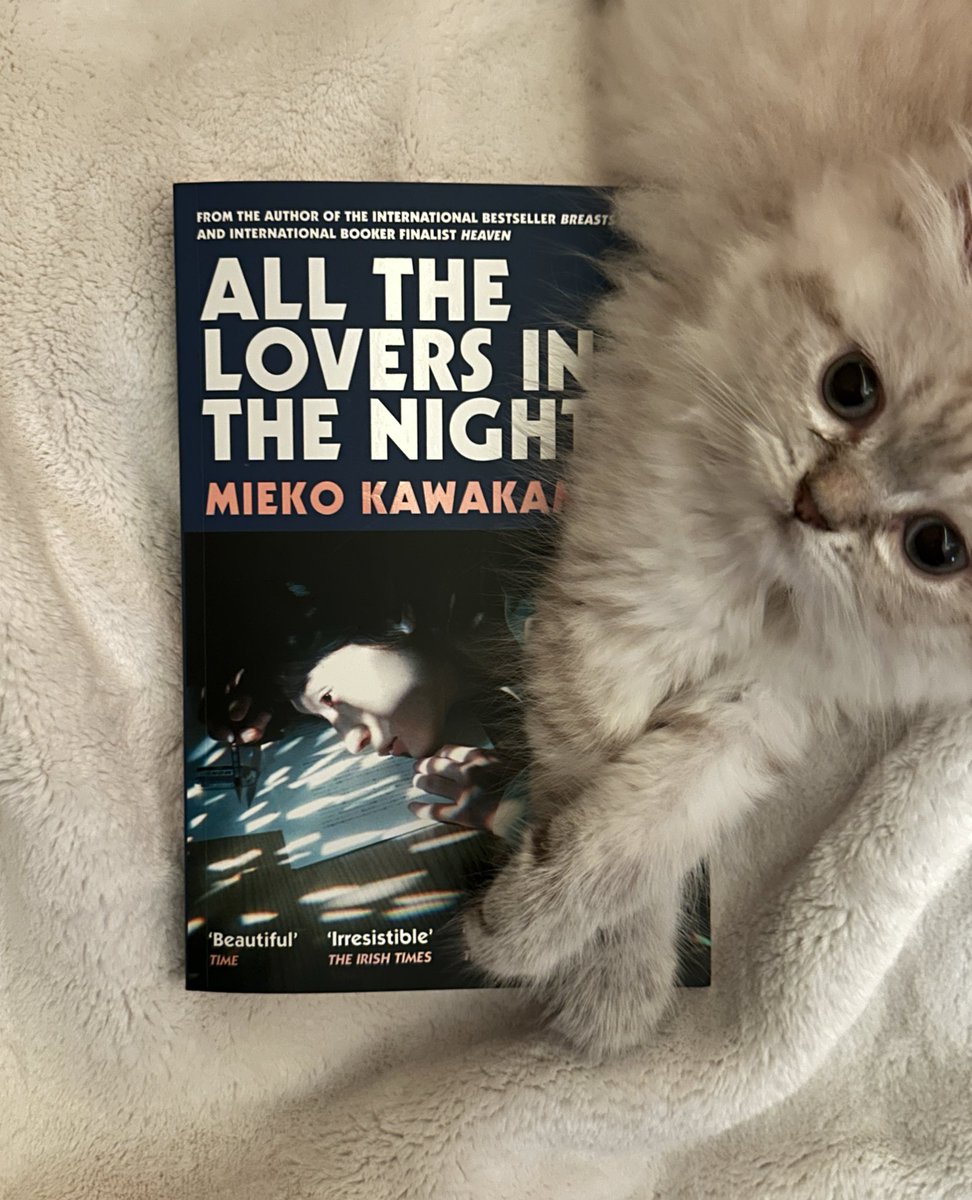 lblu_'s tweet photo. So she’s my bookmark today. 🐾 https://t.co/2uGxnc6KVd