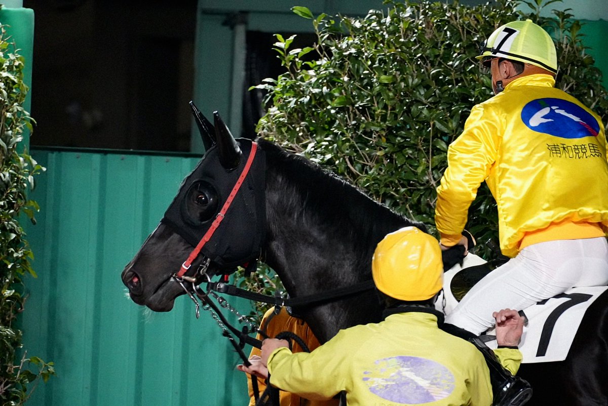 330smile330's tweet photo. 南関卒業レースに浦和競馬場の1400mを選んでくださり、ありがとうございました🙇
#モニュメントキング
#Creative Cause
#Overvalued
#Forest Grove
#Brereton C.Jones
#野畑凌騎手
#箕輪武厩舎
#師走特別
#浦和競馬場 https://t.co/lE6GB2u9mr