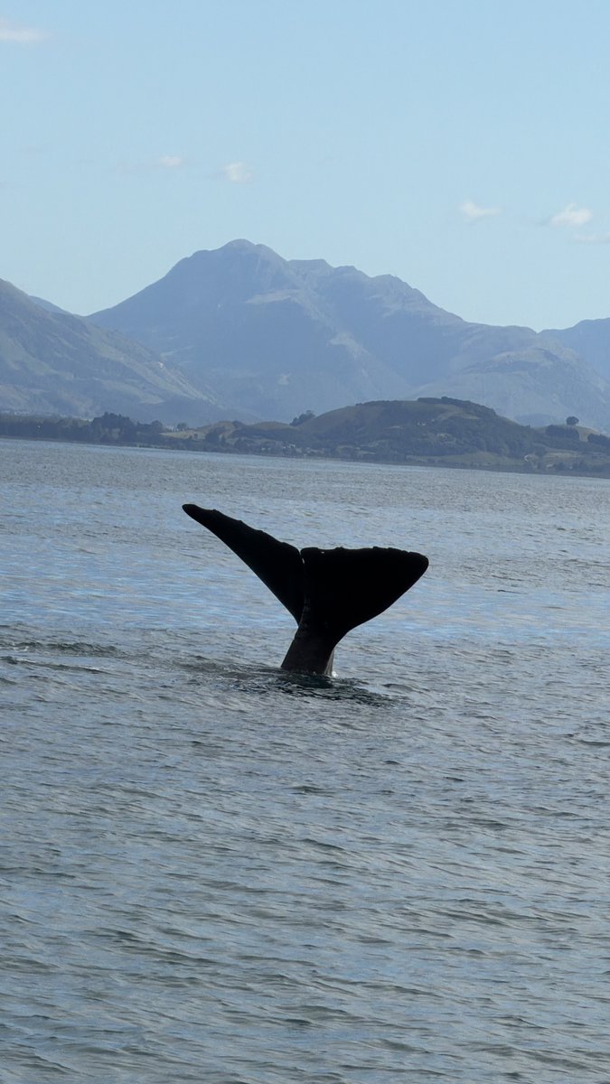 Navin Madhavan tweet media