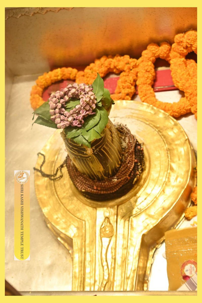 श्री काशी विश्वनाथ जी की मंगला आरती I
#kashivishwanath #kashi #sanatandharma #banaras