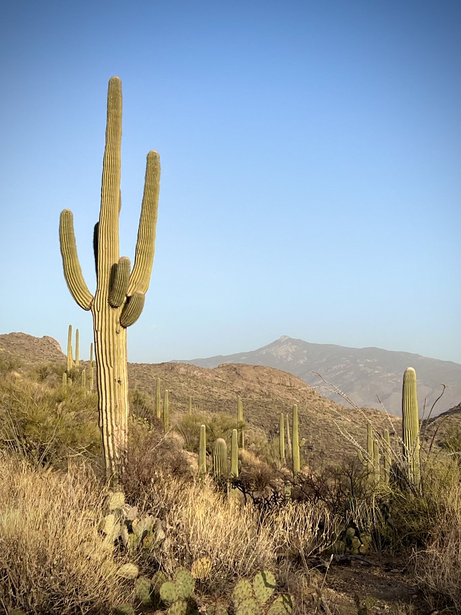 Repost if you're in Az 🔁
#Arizona #Arizonameetup