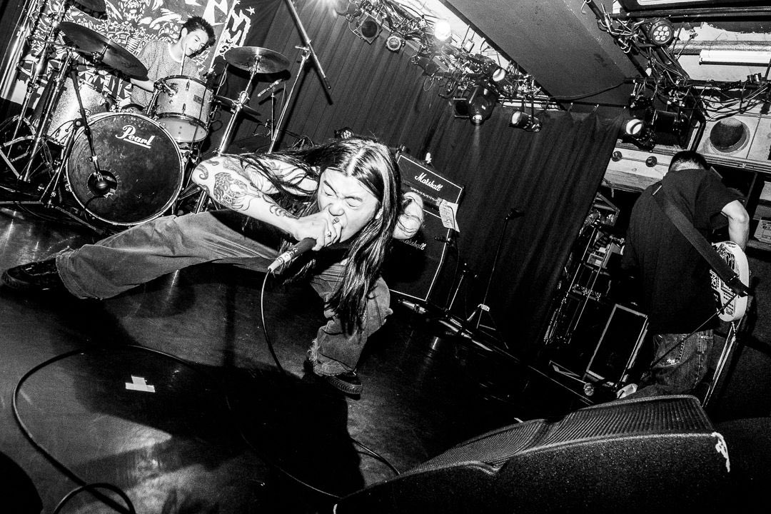 NEW REALM FEST tweet media