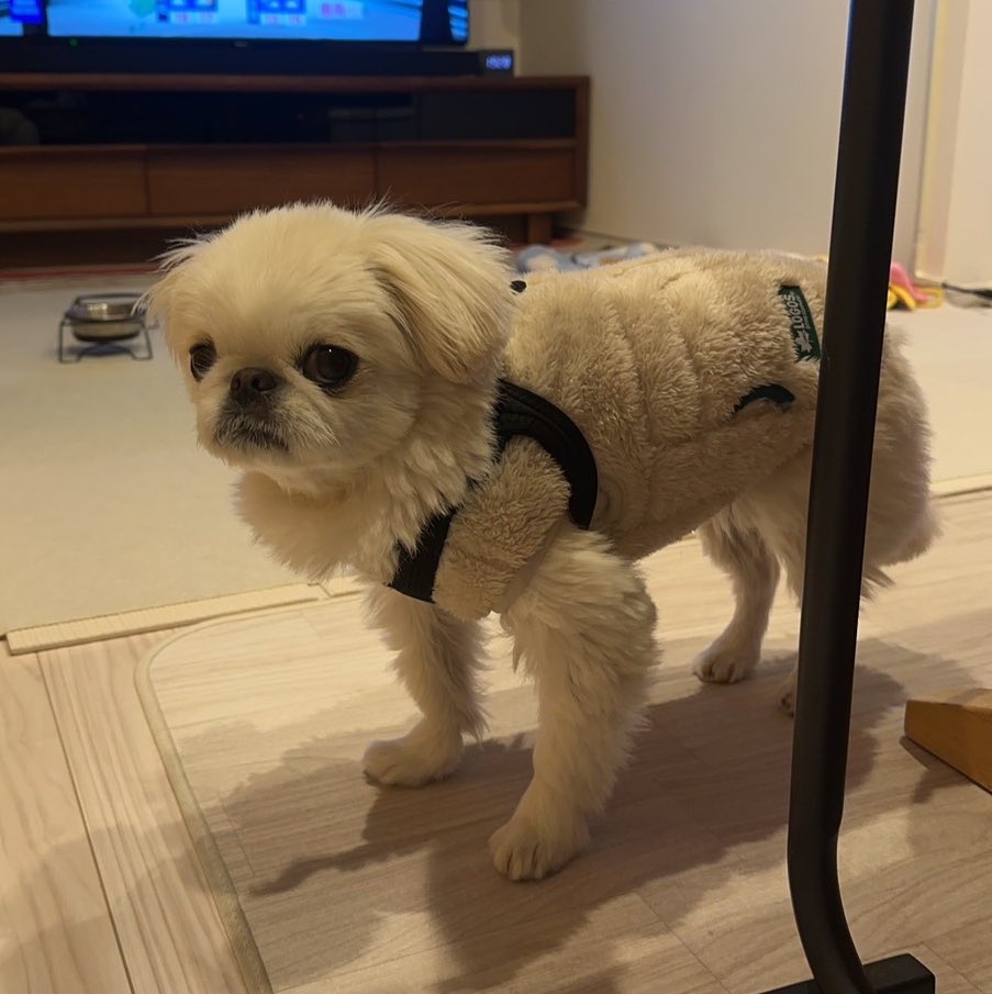 ＊いちとむぎ＊★ しなちく トリックスター / Ninja ZX-25R(21-22)政府認証フルエキゾースト