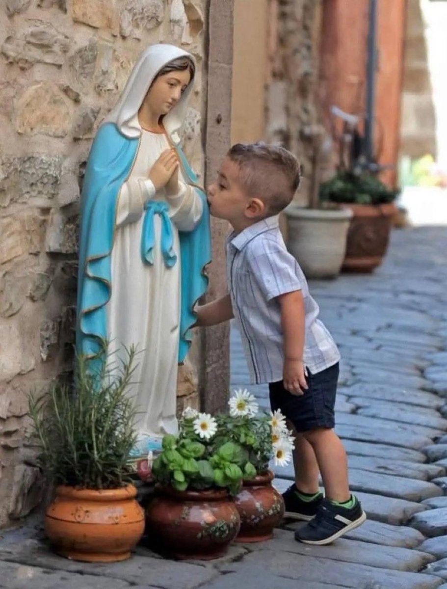 Halal Nation ֎ tweet media