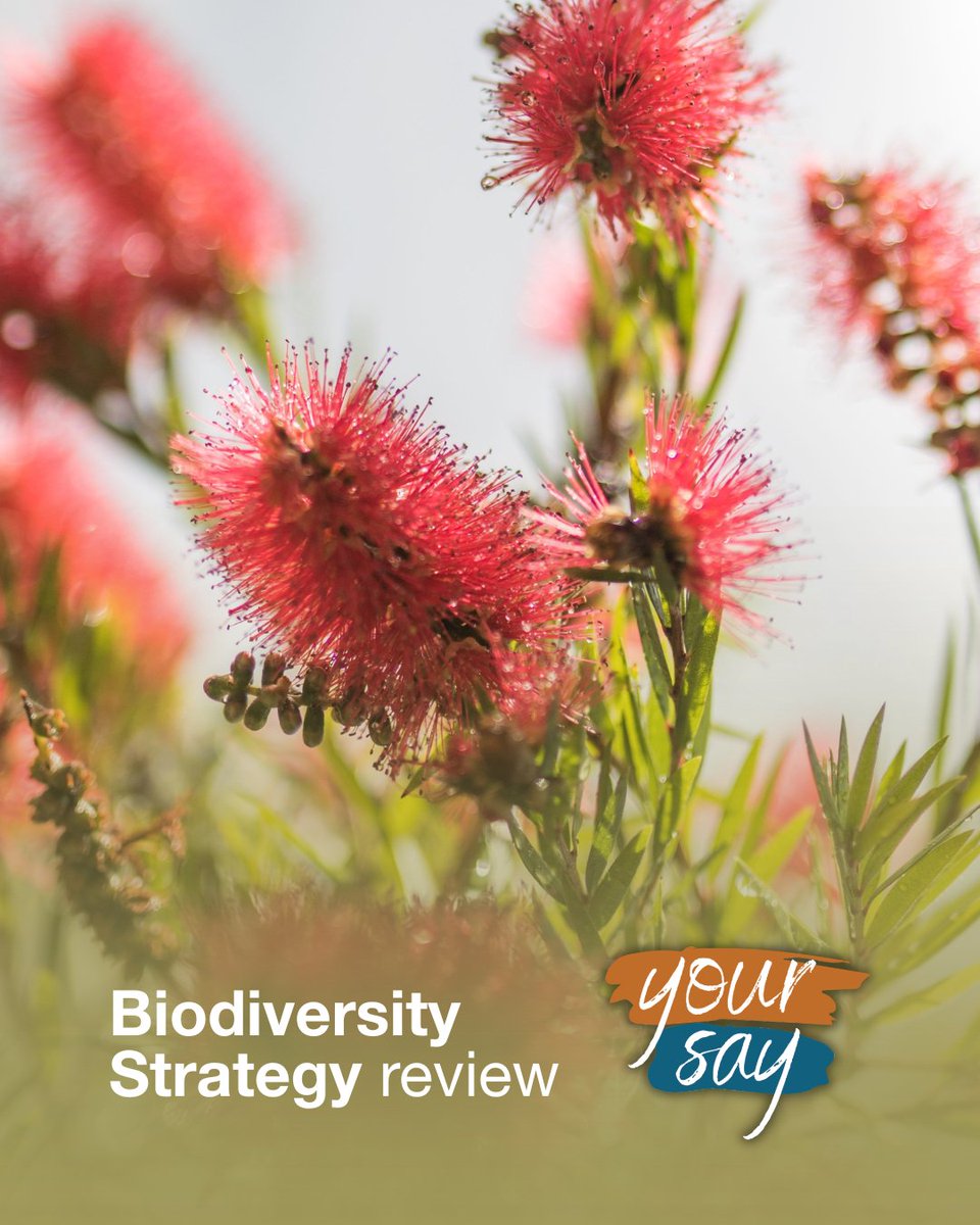 Macedon Ranges Shire Council tweet media