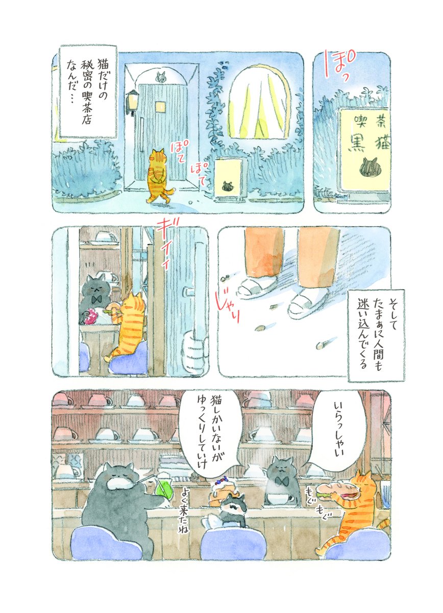 ねこまき ミューズワーク 2025年03月13日（木）ねことじいちゃん11巻