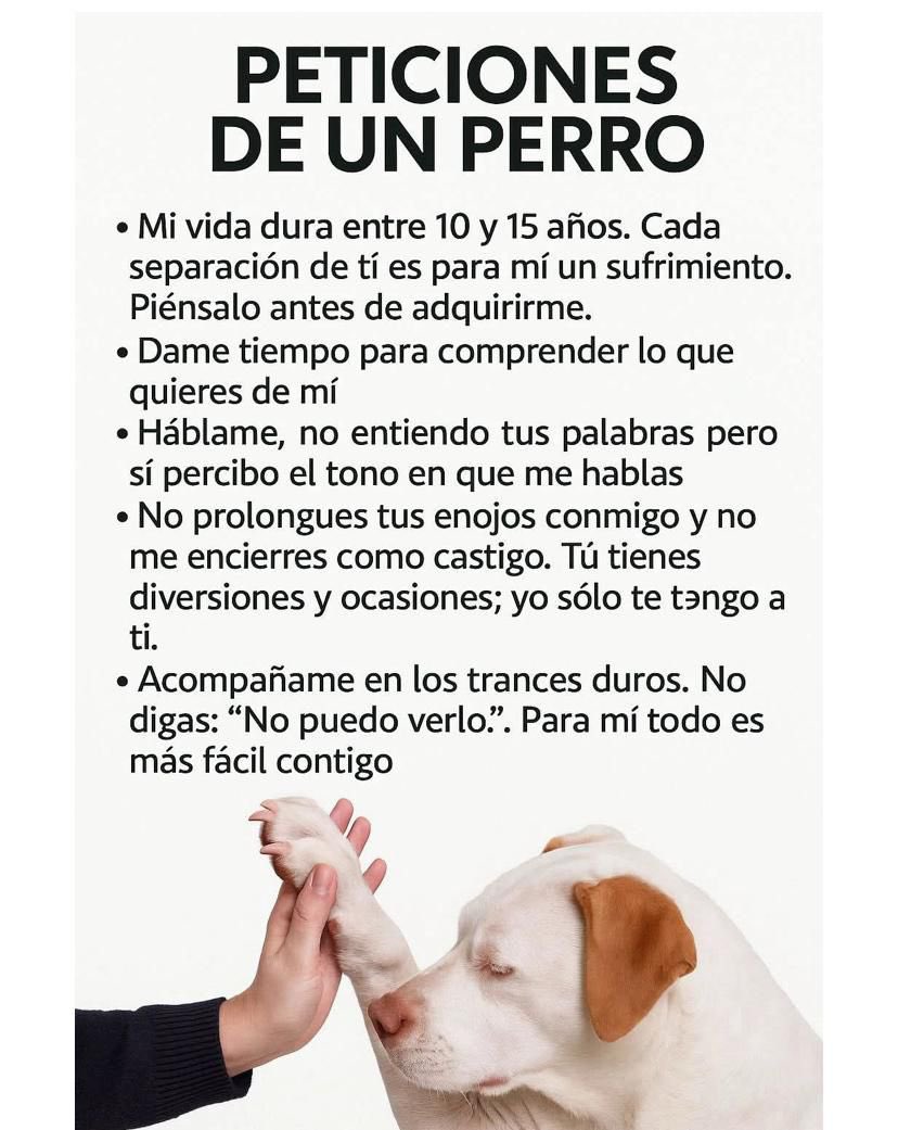 Perritos ,seres nobles , tiernos , se entregan con todo a los seres humanos 💚💚💚sabiendo que muchas veces los lastimaran! No más abandono ni maltrato animal! RT cuida y respeta a tus perritos 🐶