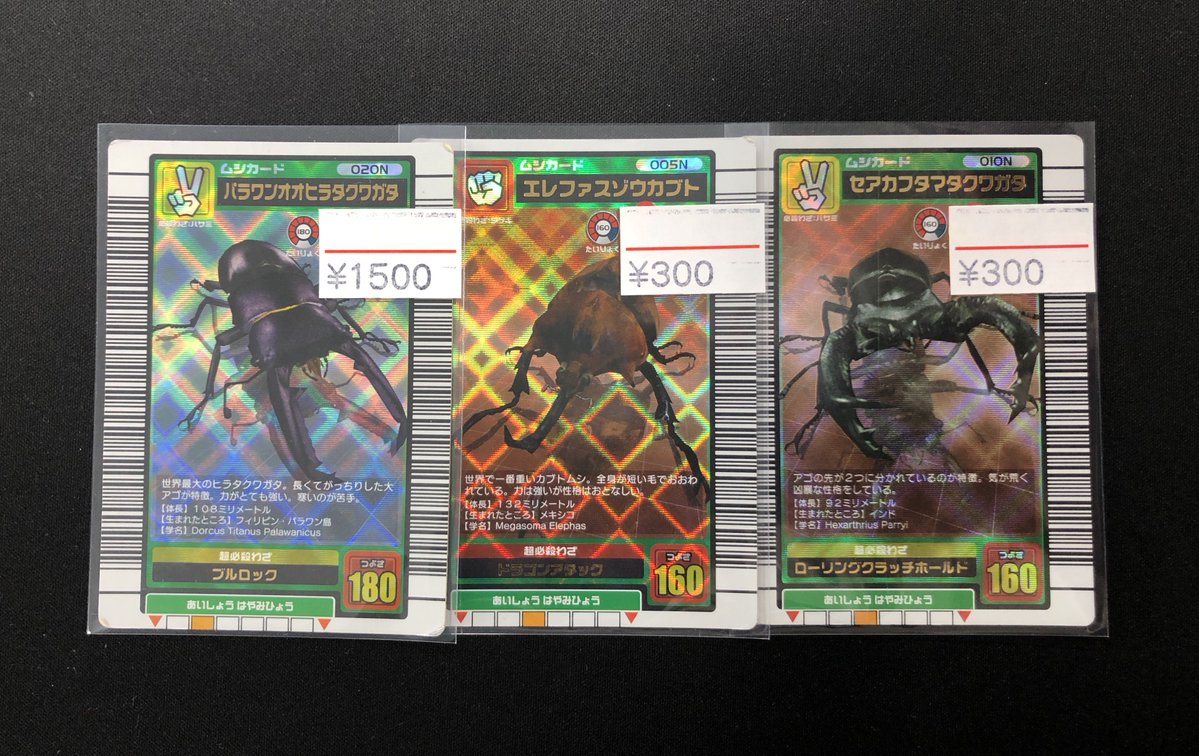 入荷情報】 ムシキング入荷いたしました！！！ 2003夏のパラワンオオ