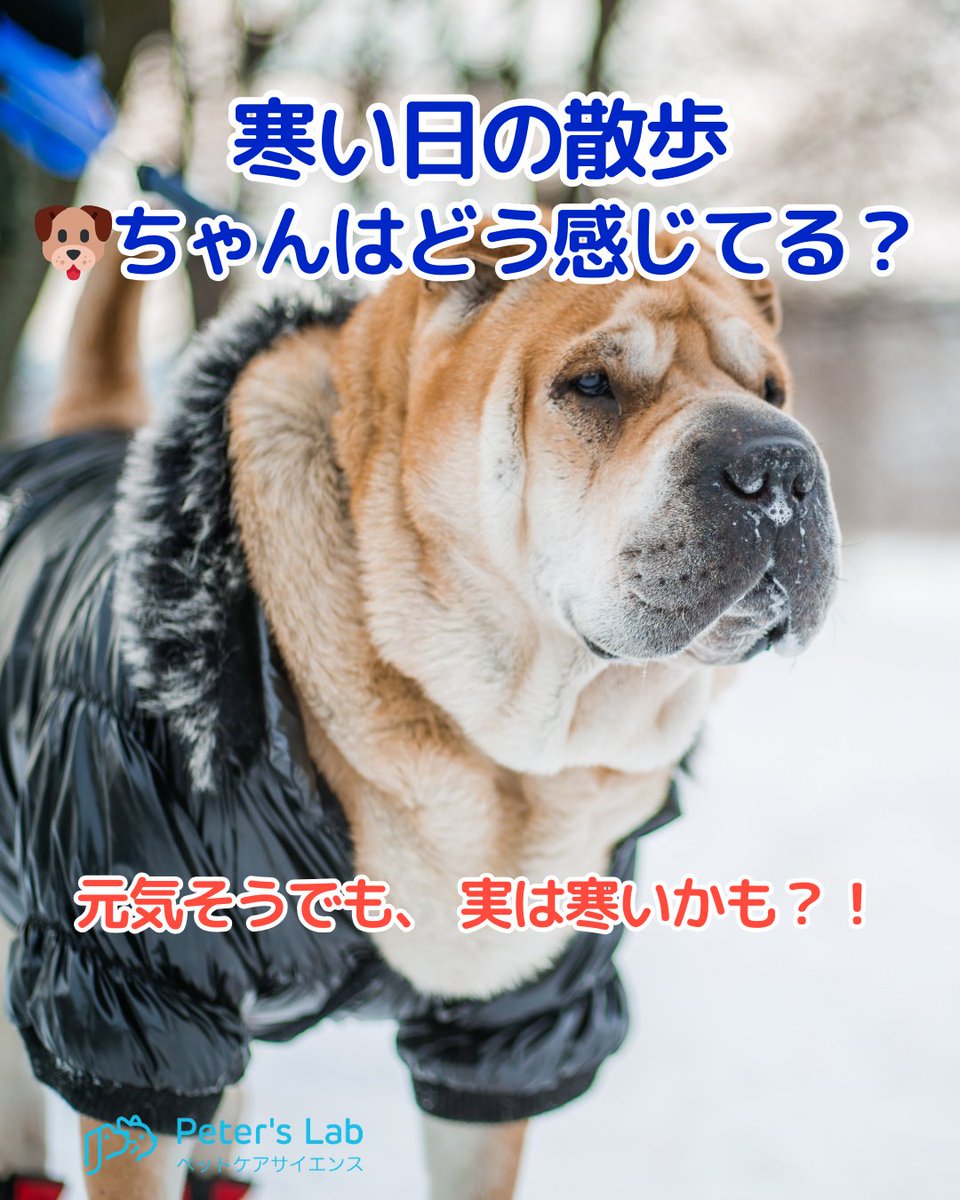 PetersLab_JP tweet picture
