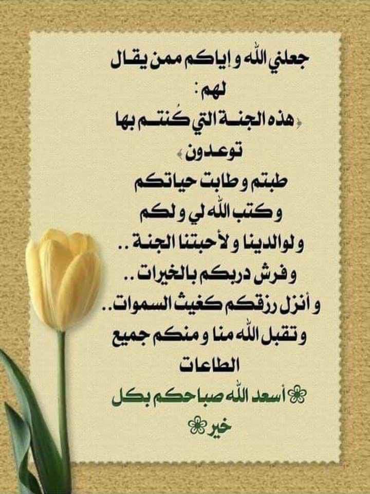 مشبب الشيباني (@msbbl1) on Twitter photo 