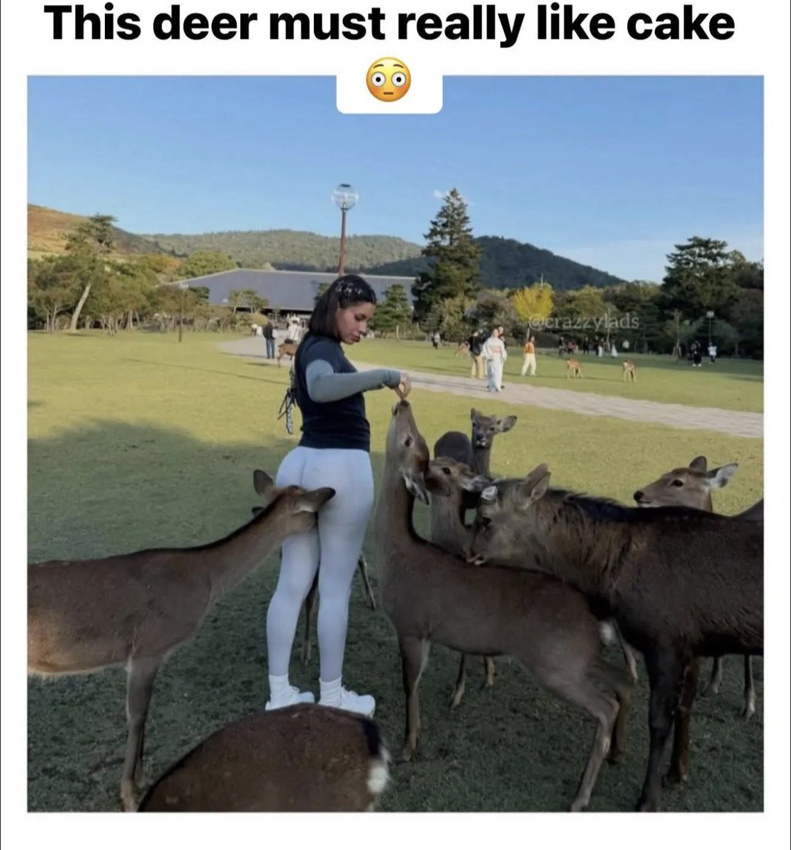 CHEER$ • CLUB• NYC (@vinnychasenyc) on Twitter photo 