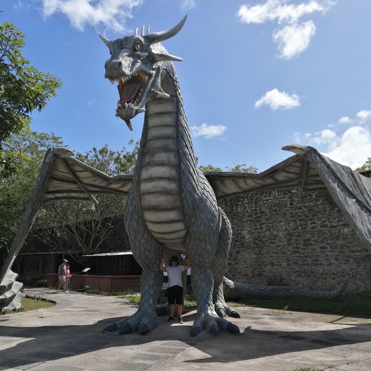 lunajenima's tweet photo. #NuevaFotoDePerfil🐉Dragón Stone🤍Dracarys🖤🐲😎 https://t.co/BjJzqSbHCf