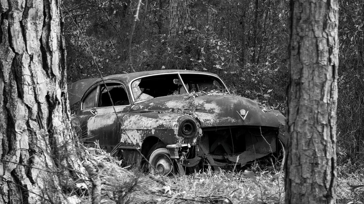 kevincampphoto's tweet image. Twixt the Trees #rustinpeace #oldcar #vintage
