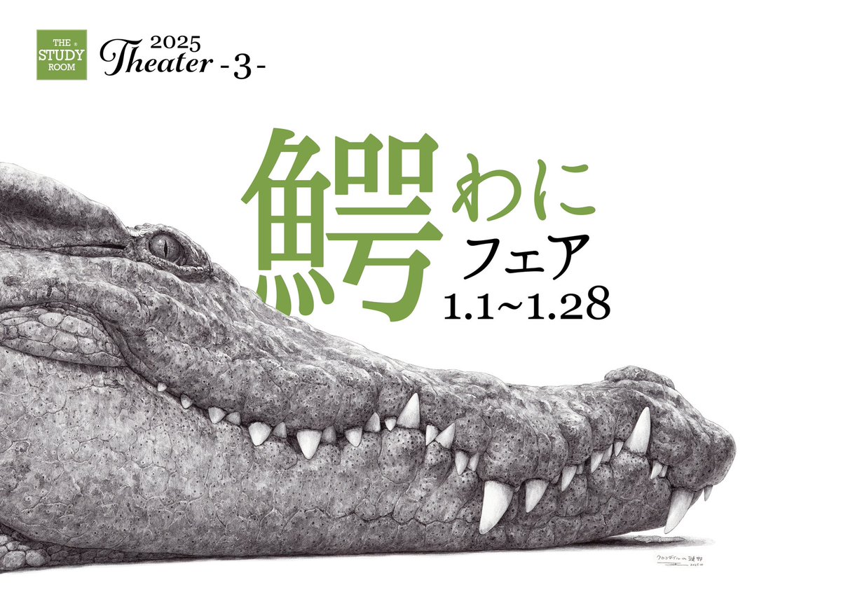 ワニ匹 新年早々ワニです！ 上野は只今ワニパワーが満ち溢れておりますので