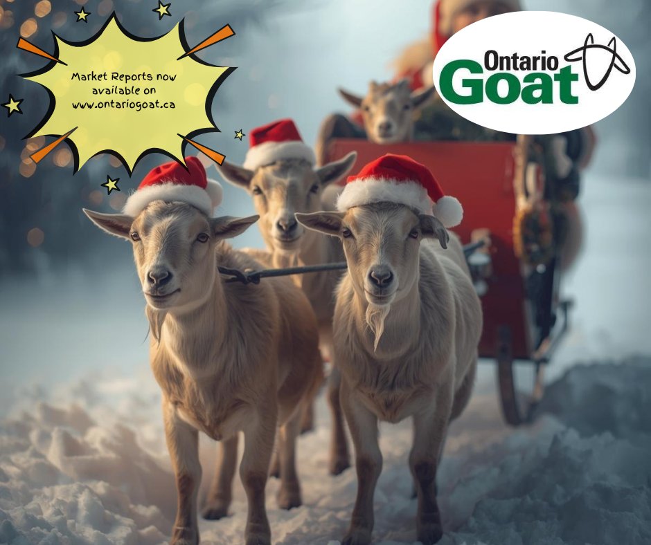 #alymersalesbarn #embrunsalesbarn #brusselssalesbarn #kawarthalakessalesbarn#OSI #olex #Gaylea #ODGC #liquidfeedsinc #ukal #wallensteinfeed&amp;supplyltd #greenoakdairyequipment #b-wfeed&amp;supply #newlifemills #midwestcoop #CFFO#CMGA #CNGF#OFA #trevorjones #johnkelly