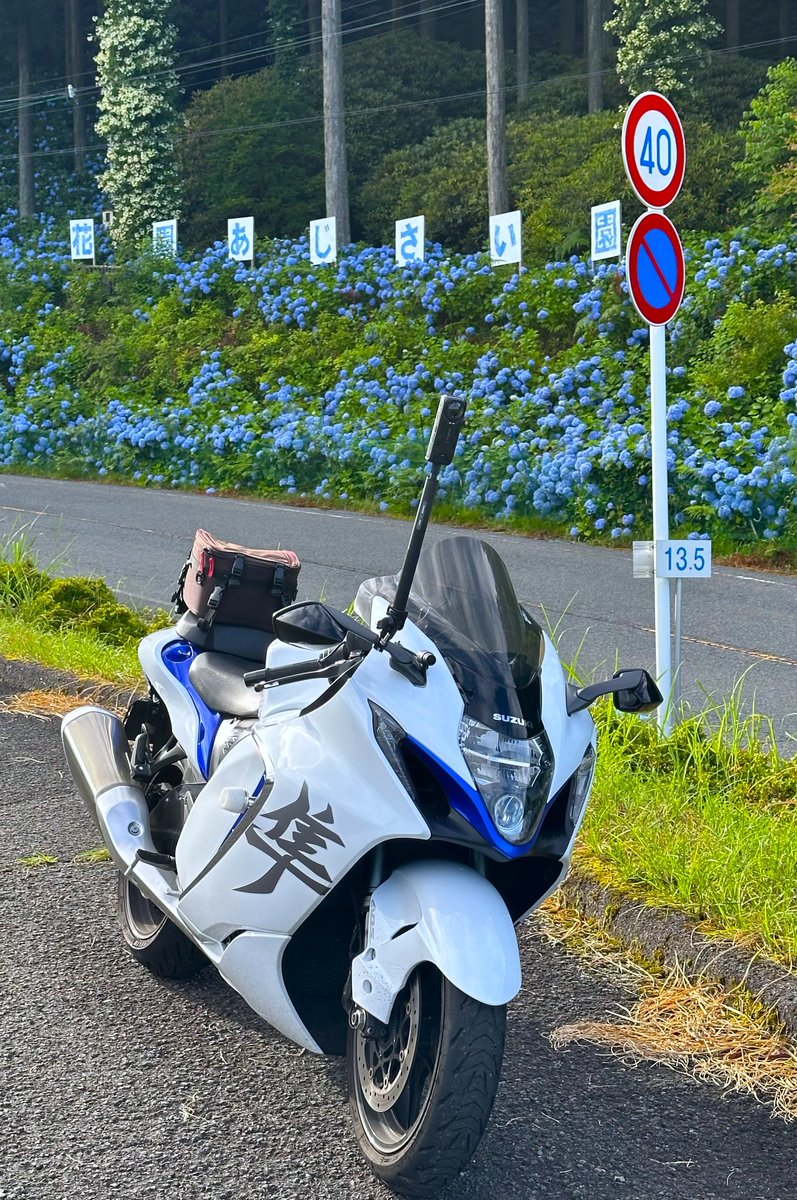 とらちゃんページ sanac 2025.10.05＠阿字ヶ浦 #sana #RocKetsModels #海deLIVE撮影会